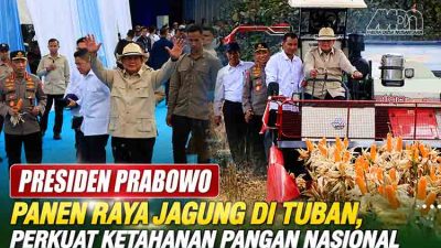 Presiden Prabowo Panen Raya Jagung di Tuban MDN
