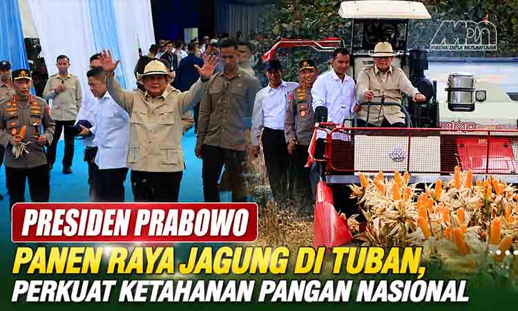Presiden Prabowo Panen Raya Jagung di Tuban MDN