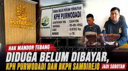 Sorotan sengketa hak mandor tebang MDN