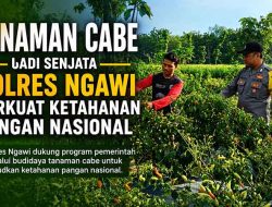 Polres Ngawi Dorong Ketahanan Pangan, Bhabinkamtibmas Kasreman Pantau Tanaman Cabe Warga