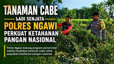 Tanaman cabe perkuat ketahanan pangan