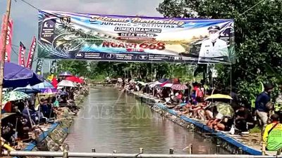 Tebar Satu Ton Lele, 500 Pemancing Ramaikan Lomba Mancing Desa Beran Ngawi