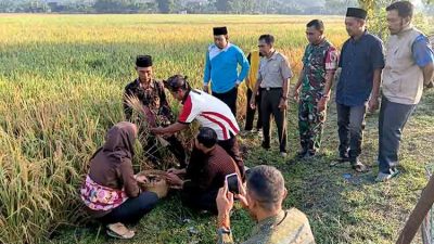 Wujud Syukur Hasil Pertanian, Babinsa Pangkur Ikuti Doa Bersama dan Methil Bareng