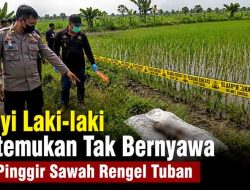 Bayi Laki-laki Ditemukan Tak Bernyawa di Pinggir Sawah Rengel Tuban