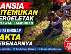 Lansia Ditemukan Tergeletak di Sawah Lamongan, Polisi Ungkap Fakta Sebenarnya
