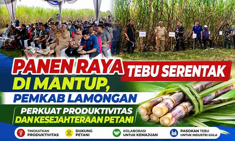 Bupati Lamongan Hadiri Panen Raya Tebu Serentak di Mantup