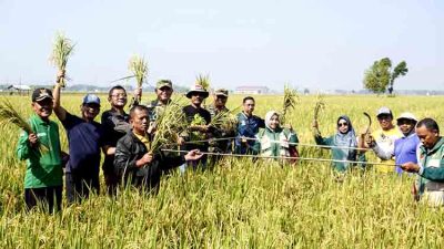 Dorong Inovasi Pertanian, Danrem 081