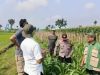 Mencegah Gagal Panen Sejak Dini, Polisi Turun Berdialog dengan Petani