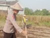 Kolaborasi Polisi dan Petani Jagung di Pare Wujudkan Asta Cita Presiden RI