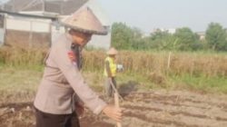 Kolaborasi Polisi dan Petani Jagung di Pare Wujudkan Asta Cita Presiden RI