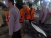 Polres Pelabuhan Tanjungperak Bongkar Sindikat Pencuri Belasan Unit AC, Empat Tersangka Diamankan