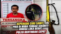 Kepergok curi sawit di Muba