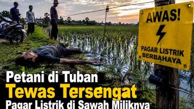 Tewas tersengat listrik di sawah