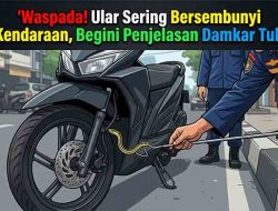 Hendak Berbelok, Pengendara Motor di Tuban Dibuat Kaget Ular ‘Nebeng’ di Bodi Kendaraan