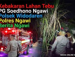 Aksi Cepat Polisi dan Damkar Jinakkan Kebakaran Lahan Tebu PG Soedhono di Ngawi