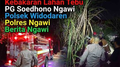 Aksi Cepat Polisi dan Damkar Jinakkan Kebakaran Lahan Tebu PG Soedhono di Ngawi