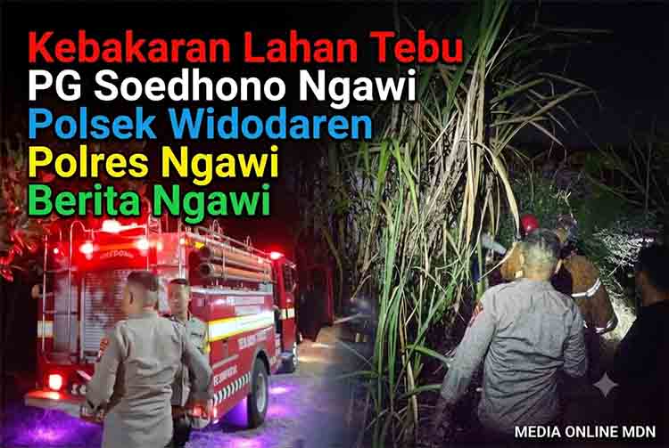 Aksi Cepat Polisi dan Damkar Jinakkan Kebakaran Lahan Tebu PG Soedhono di Ngawi