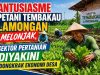 Petani Lamongan Optimistis Sambut Musim Tanam Tembakau, Perluas Lahan Demi Panen Maksimal