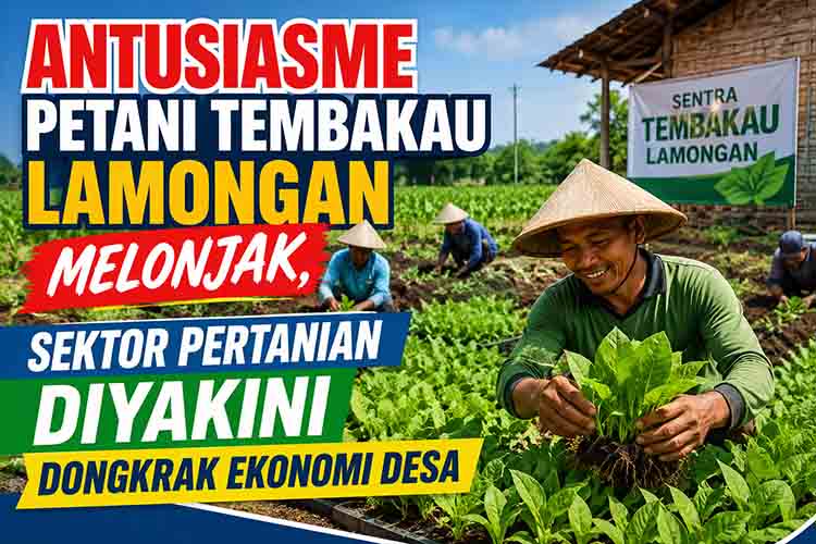 Antusiasme petani tembakau Lamongan