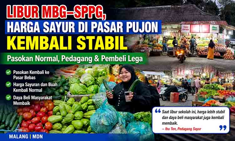 Harga sayur kembali stabil di pasar