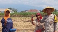 Sambang Sawah, Wujud Kepedulian Bhabinkamtibmas dalam Program “Polri Perkuat Ketahanan Pangan”