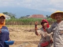 Sambang Sawah, Wujud Kepedulian Bhabinkamtibmas dalam Program “Polri Perkuat Ketahanan Pangan”