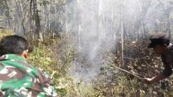 Respon Cepat Call Center 110 Polres Ngawi, Kebakaran Lahan di Bukit Gogor Sine Berhasil Dipadamkan