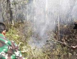 Respon Cepat Call Center 110 Polres Ngawi, Kebakaran Lahan di Bukit Gogor Sine Berhasil Dipadamkan