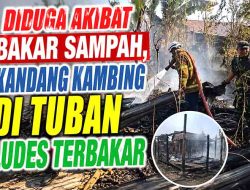 Kelalaian Membakar Sampah Picu Kebakaran Kandang, Kerugian Capai Jutaan Rupiah