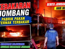 Pabrik Pakan Ternak di Jombang Terbakar Hebat, APAR Tak Mampu Redam Kobaran Api