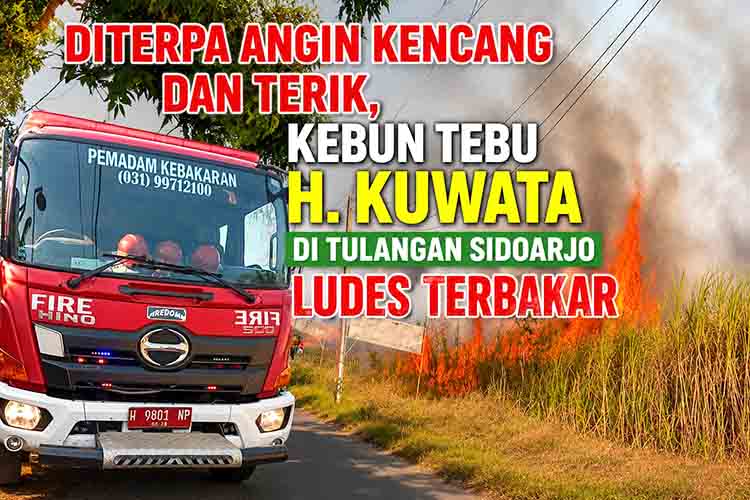Kebakaran hebat di kebun tebu Sidoarjo