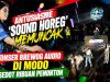 Antusiasme ‘Sound Horeg’ Memuncak, Konser Brewog Audio di Modo Sedot Ribuan Penonton