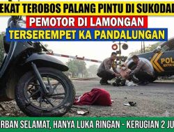 Nekat Terobos Palang Pintu di Sukodadi, Pemotor di Lamongan Terserempet KA Pandalungan