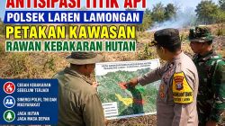 Peta kawasan rawan kebakaran hutan