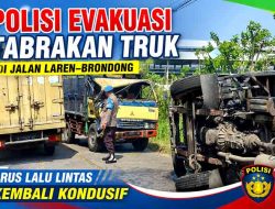 Diduga Hilang Kendali, Truk Box Adu Banteng dengan Colt Diesel di Solokuro Lamongan