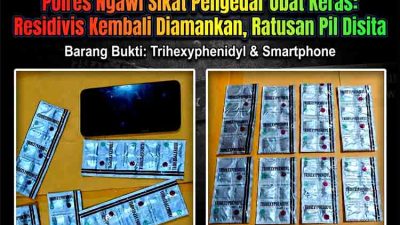 Polres Ngawi Sikat Pengedar Obat Keras Residivis Kembali Diamankan, Ratusan Pil Disita