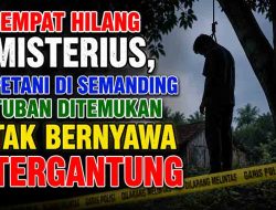 Geger, Seorang Petani di Semanding Tuban Ditemukan Tewas di Gubuk Ladang Jagung