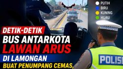 Viral Bus Jurusan Bungurasih Bojonegoro Ngeblong di Pucuk Lamongan, Hadang Ambulans hingga Mundur