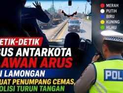 Viral Bus Jurusan Bungurasih-Bojonegoro Ngeblong di Pucuk Lamongan, Hadang Ambulans hingga Mundur