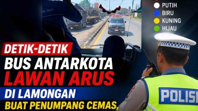 Viral Bus Jurusan Bungurasih Bojonegoro Ngeblong di Pucuk Lamongan, Hadang Ambulans hingga Mundur
