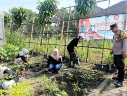 Pekarangan Warga Jadi Penopang Ketahanan Pangan di Plosoklaten