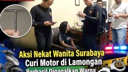 Bermodal Kunci T, Wanita 33 Tahun Diringkus Usai Gasak Honda Beat di Sukodadi