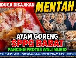 Diduga Disajikan Mentah, Ayam Goreng SPPG Babat Pancing Protes Wali Murid