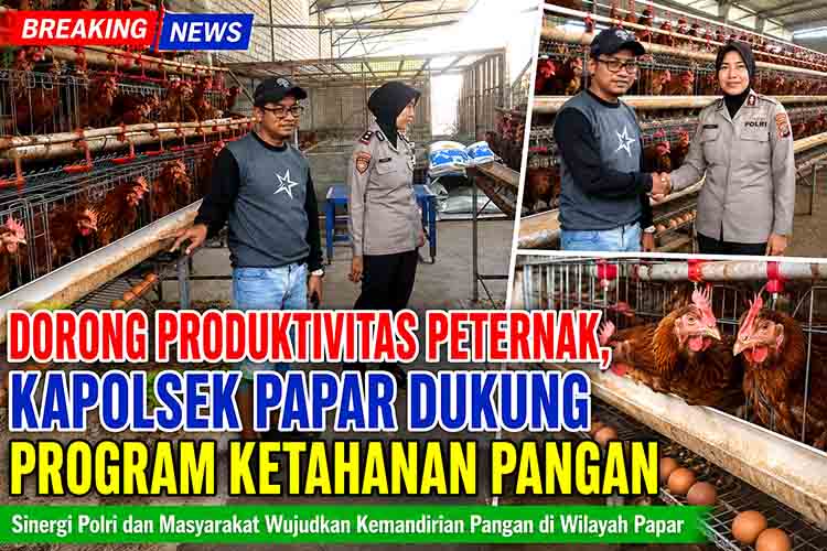 Dorong Produktivitas Peternak, Kapolsek Papar Dukung Program Ketahanan Pangan