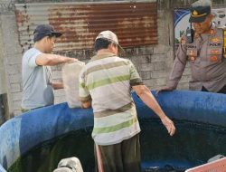 Ketahanan Pangan Dimulai dari Kolam Lele, Ini Langkah Kapolsek Plosoklaten