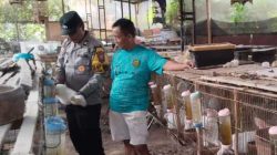 Polsek Kepung Dorong Pengembangan Peternakan Kelinci untuk Ketahanan Pangan