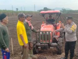 Perkuat Ketahanan Pangan, Bhabinkamtibmas Pakunden Aktif Dampingi Petani Jagung