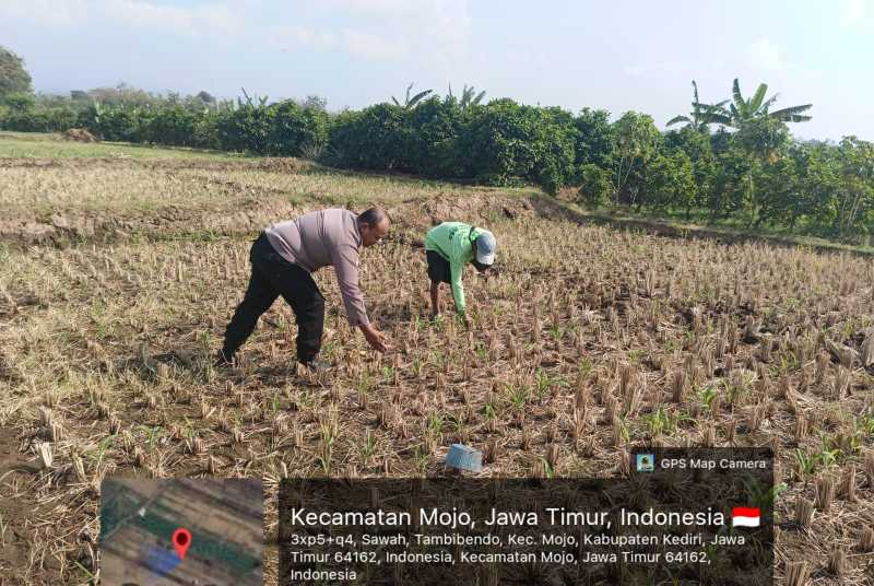 IMG 20260824 WA0096
