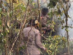 Penanganan Karhutla Hari Keenam, Brimob Kembali Turun Di Biak