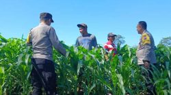 Dari Perawatan hingga Pengendalian Hama, Polsek Ngancar Dampingi Petani Babadan